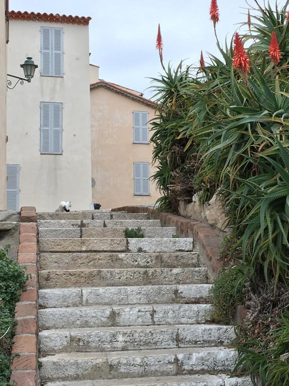 Willa Cap Antibes Les Bosquets Zewnętrze zdjęcie